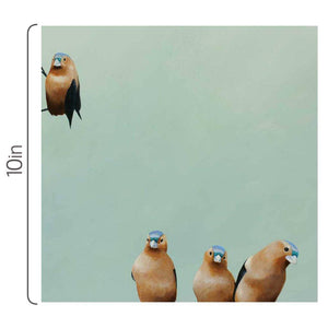 Wall Art - Fictional Finch Group on 10in x 10in Wood Panel by The Mincing Mockingbird