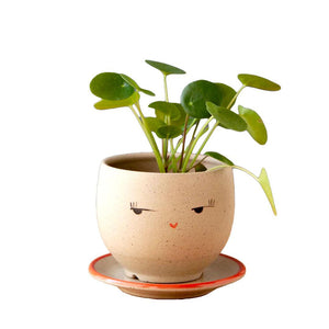 Planter - Side Eye Face (Blue or Red Saucer) by Jennifer Fujimoto