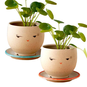 Planter - Side Eye Face (Blue or Red Saucer) by Jennifer Fujimoto