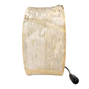 zLamp - Small Birch Circle (Red Mushrooms) by Sage Studios