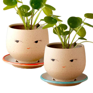 Planter - Coy Face (Blue or Red Saucer) by Jennifer Fujimoto