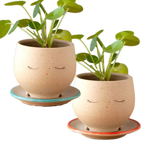 Planter - Peaceful Face (Blue or Red Saucer) by Jennifer Fujimoto