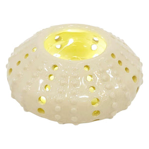 Votive - Sea Urchin (Off White) by Beach Baby Ceramics