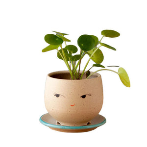Planter - Coy Face (Blue or Red Saucer) by Jennifer Fujimoto