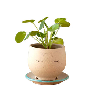 Planter - Peaceful Face (Blue or Red Saucer) by Jennifer Fujimoto