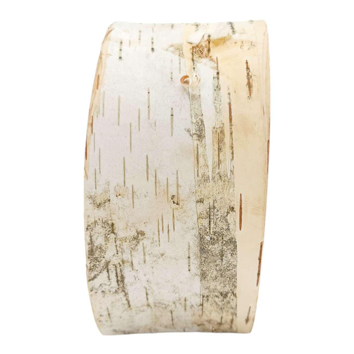 zLamp - Small Birch Circle (Red Mushrooms) by Sage Studios