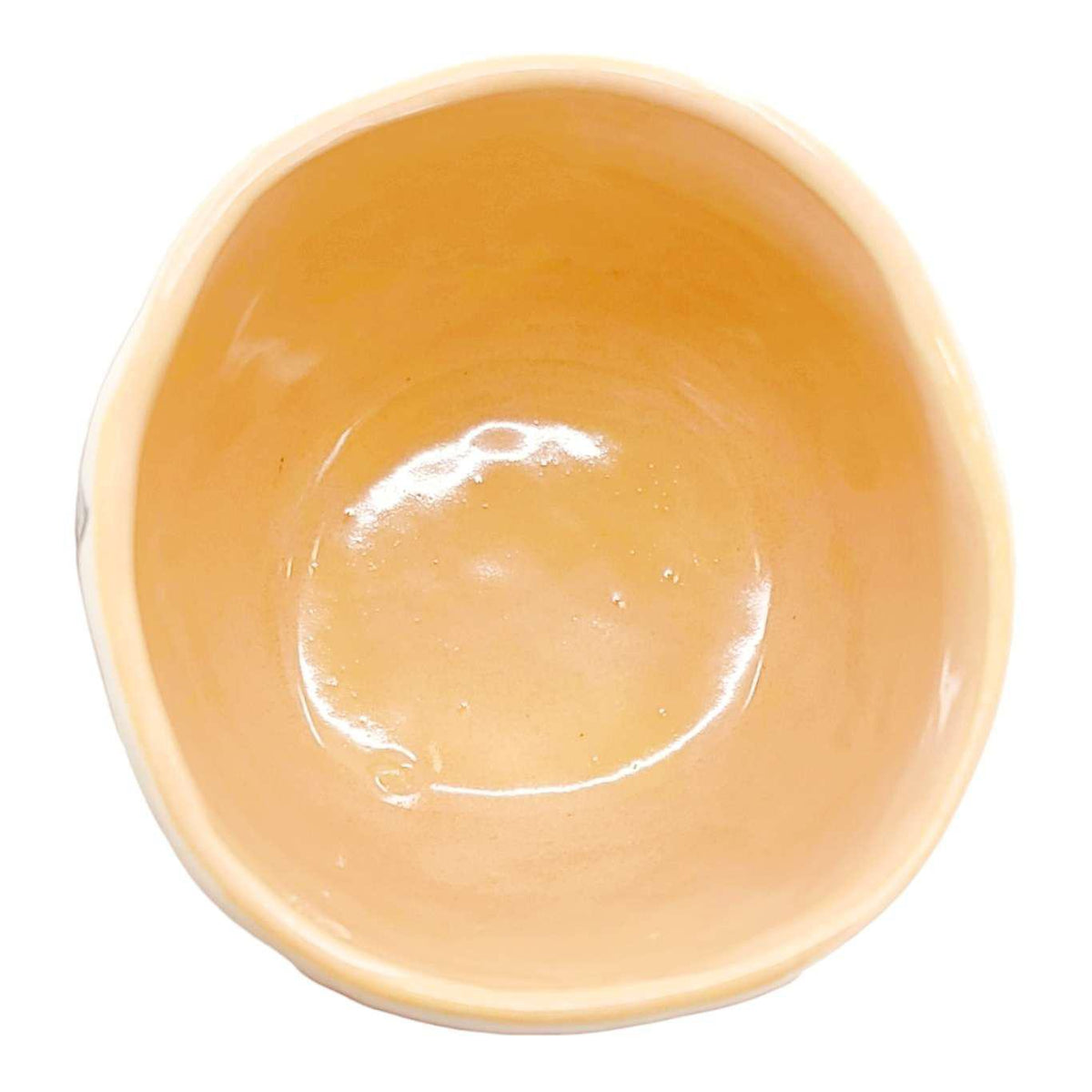 Tumbler - Kitty Flowers (Bright) by Erika Rier