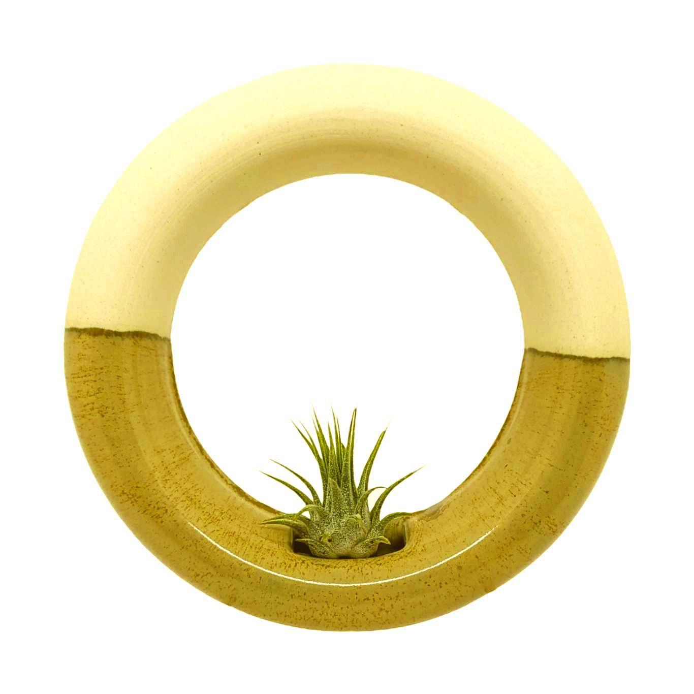 Planter - Medium Sweet Roll in Pistachio by Barro Studio