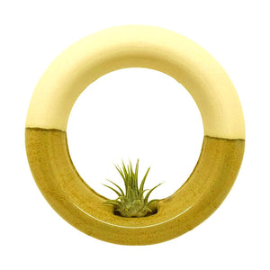 Planter - Medium Sweet Roll in Pistachio by Barro Studio