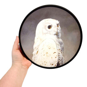 Wall Art - Snowy Owl on 10in Round Framed Wood Panel by The Mincing Mockingbird