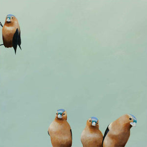 Wall Art - Fictional Finch Group on 10in x 10in Wood Panel by The Mincing Mockingbird