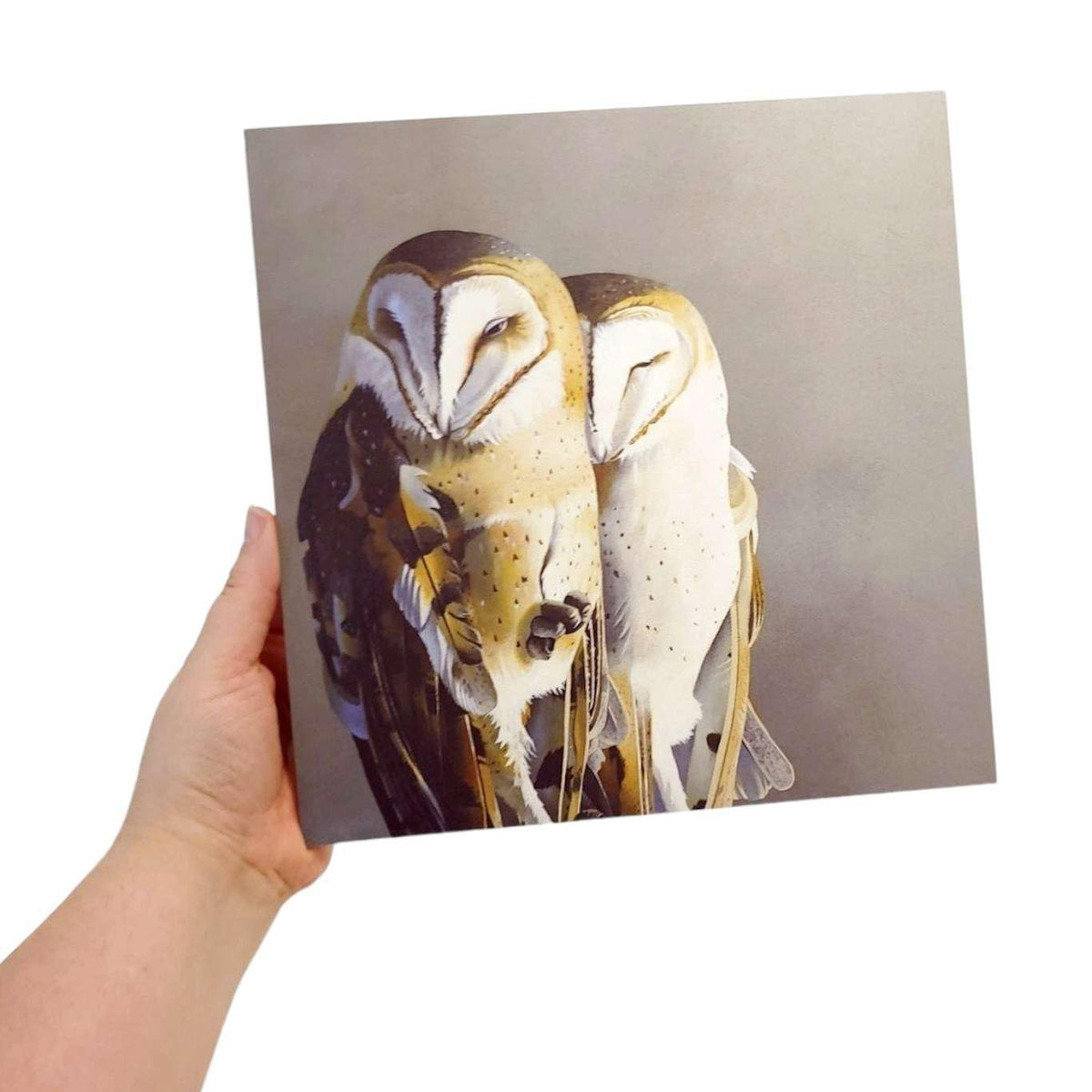 Wall Art - Barn Owl Pair on 10in x 10in Wood Panel by The Mincing Mockingbird