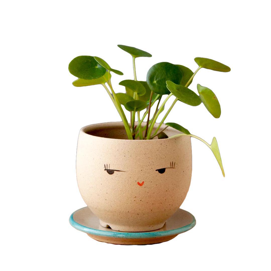 Planter - Side Eye Face (Blue or Red Saucer) by Jennifer Fujimoto