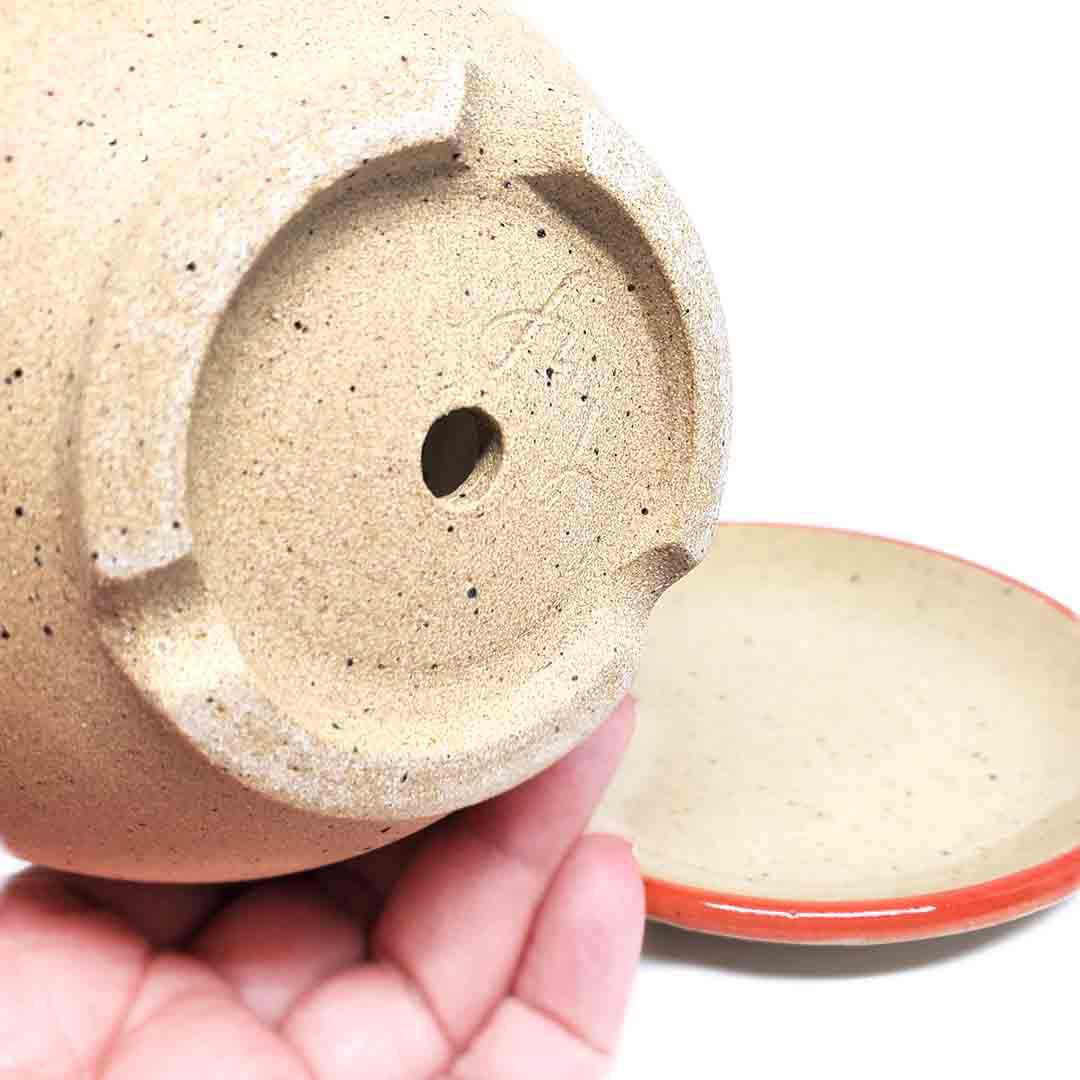 Planter - Side Eye Face (Red Saucer) by Jennifer Fujimoto