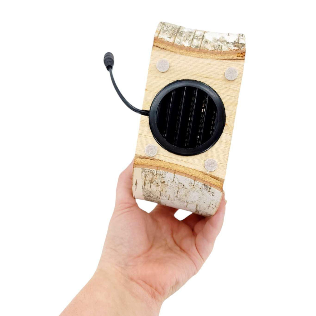 zLamp - Small Birch Circle (Red Mushrooms) by Sage Studios