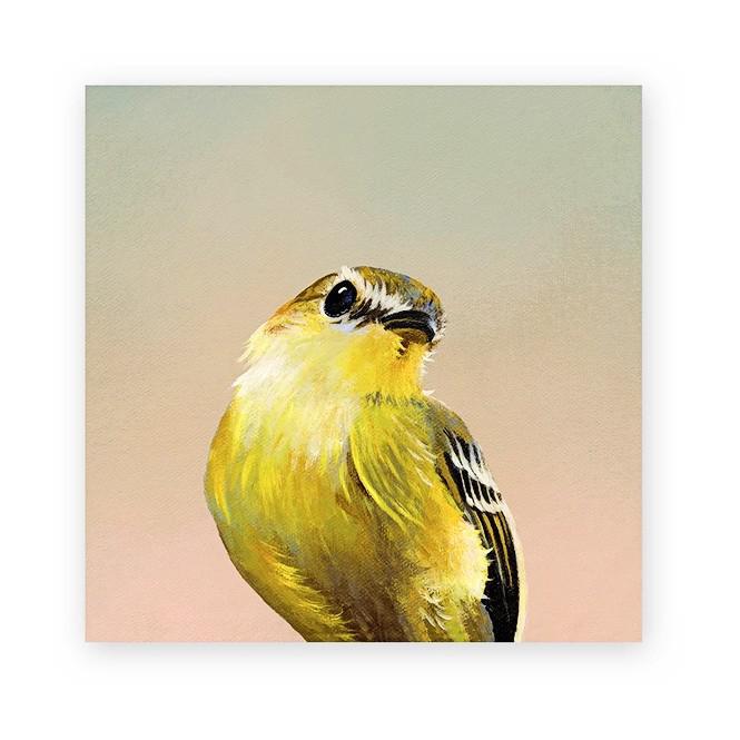 Wall Art - Flycatcher on 4in x 4in Wood Panel by The Mincing Mockingbird