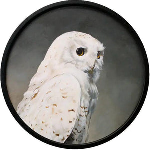Wall Art - Snowy Owl on 10in Round Framed Wood Panel by The Mincing Mockingbird