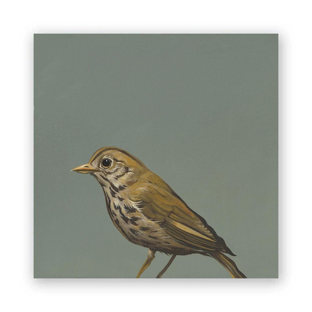Wall Art - Thrush on 8in x 8in Wood Panel by The Mincing Mockingbird