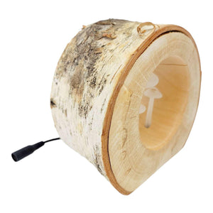 Lamp - Small Birch Circle (White Mushrooms) by Sage Studios