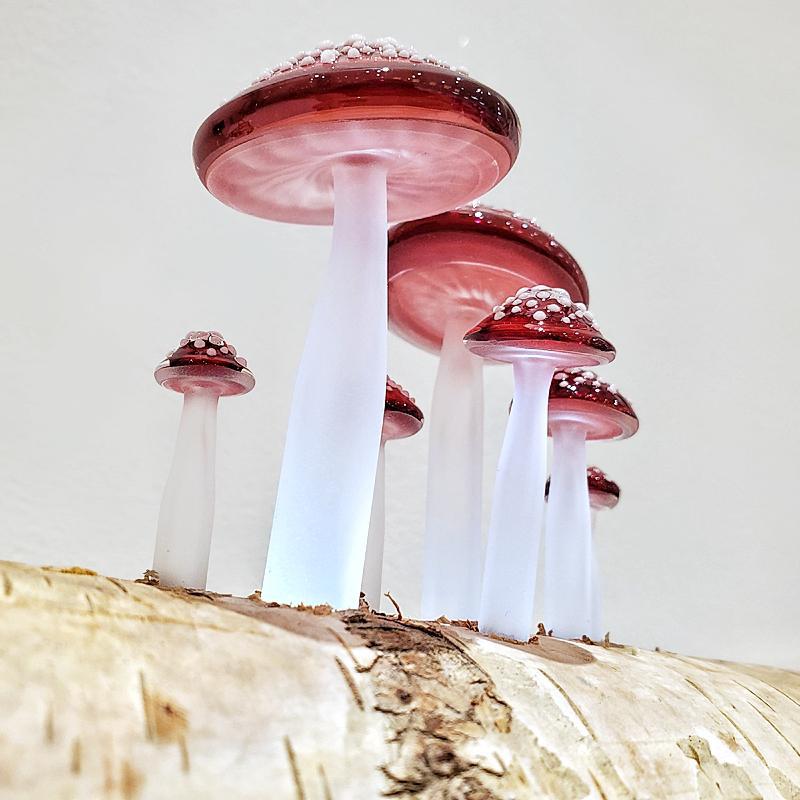 zLamp - Birch Log (Red Mushrooms) by Sage Studios