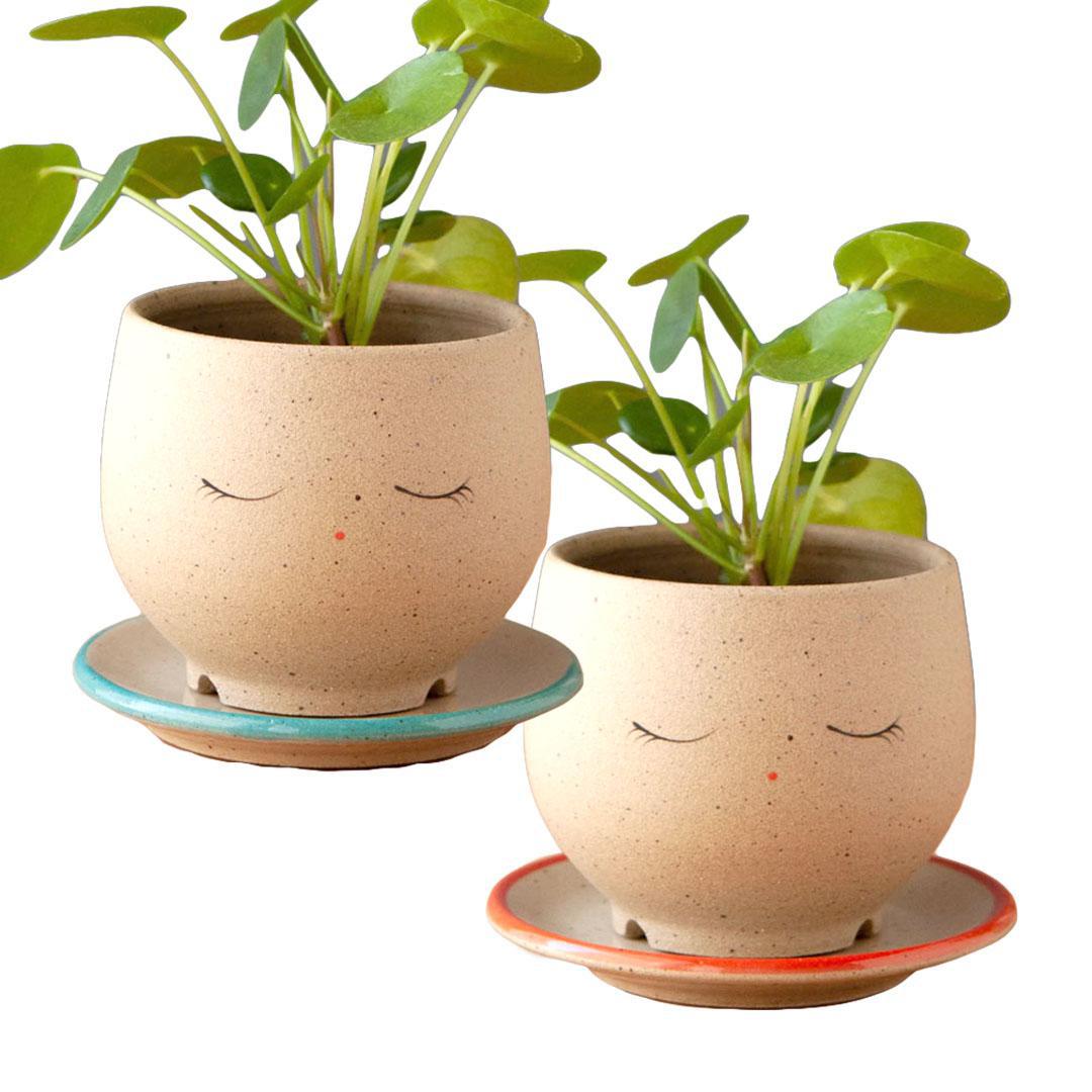 Planter - Peaceful Face (Blue or Red Saucer) by Jennifer Fujimoto