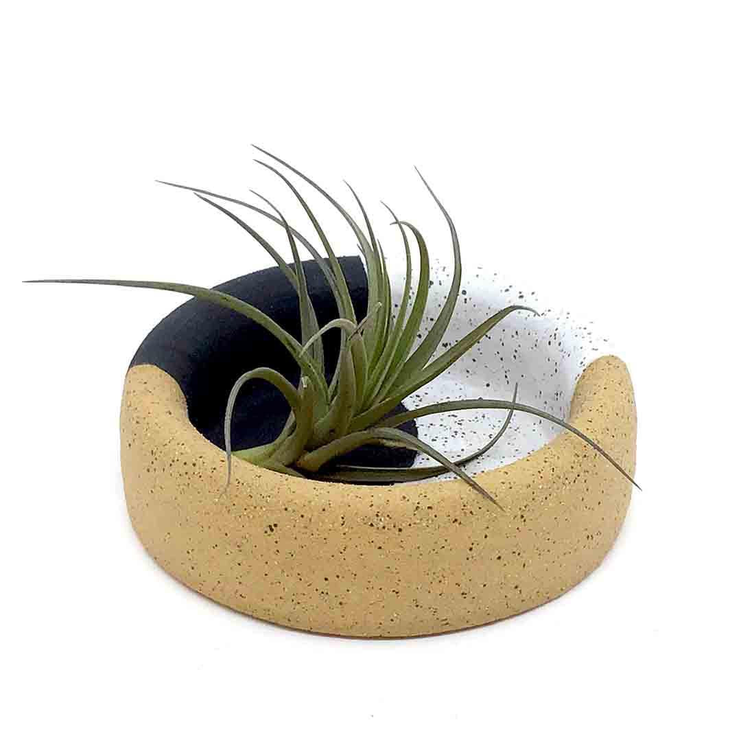 Trinket Dish - Cookies and Cream by Barro Studio