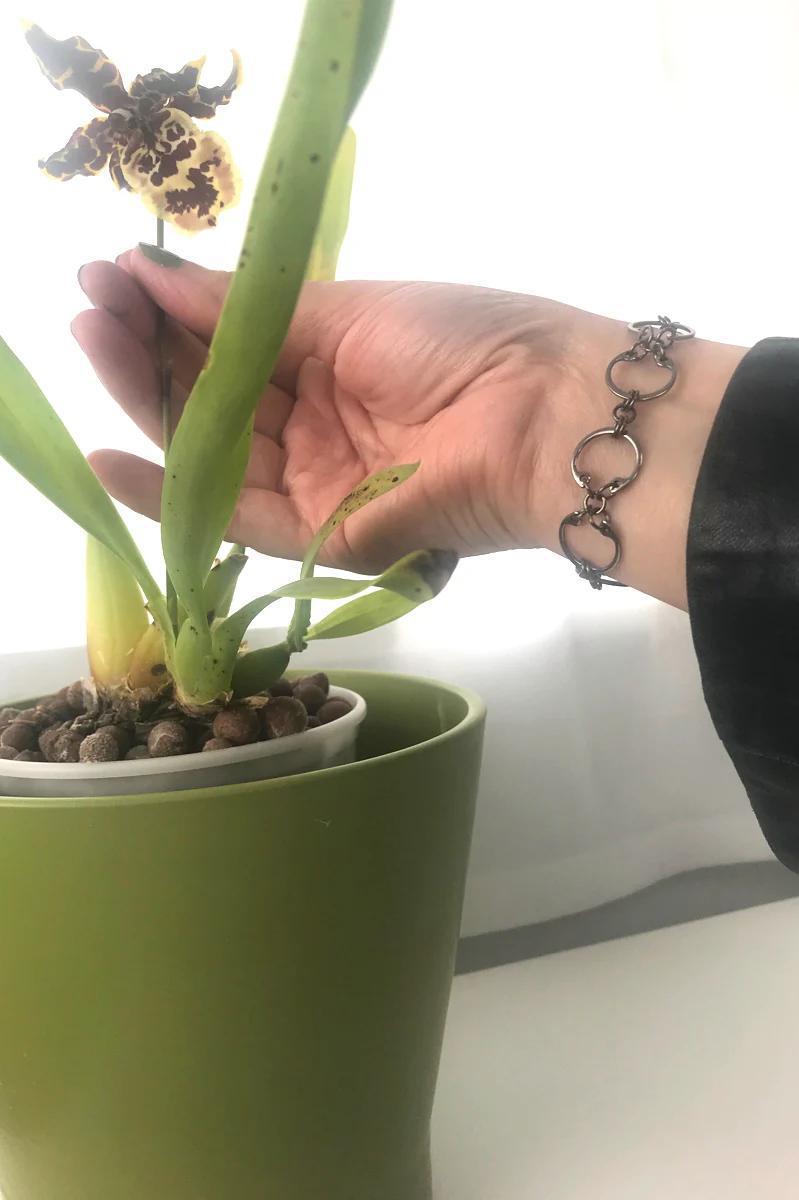 Bracelet - Baseline CXC (Stainless Steel and Titanium) by Wraptillion