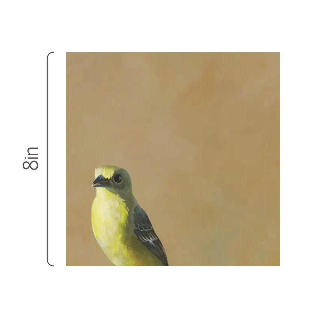 Wall Art - Goldfinch on 8in x 8in Wood Panel by The Mincing Mockingbird