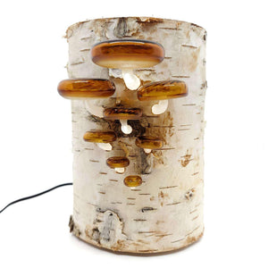Lamp - Tall Birch Log with Shelf Fungi in Amber by Sage Studios