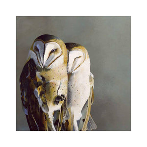 Wall Art - Barn Owl Pair on 10in x 10in Wood Panel by The Mincing Mockingbird