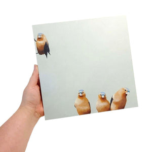 Wall Art - Fictional Finch Group on 10in x 10in Wood Panel by The Mincing Mockingbird