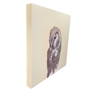 Wall Art - Owl on 10in x 10in Wood Panel by The Mincing Mockingbird