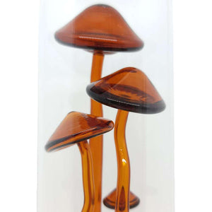 Sculpture - Amber Fungi Specimen Bottle by Sage Studios