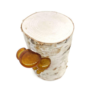 Lamp - Tall Birch Log with Shelf Fungi in Amber by Sage Studios