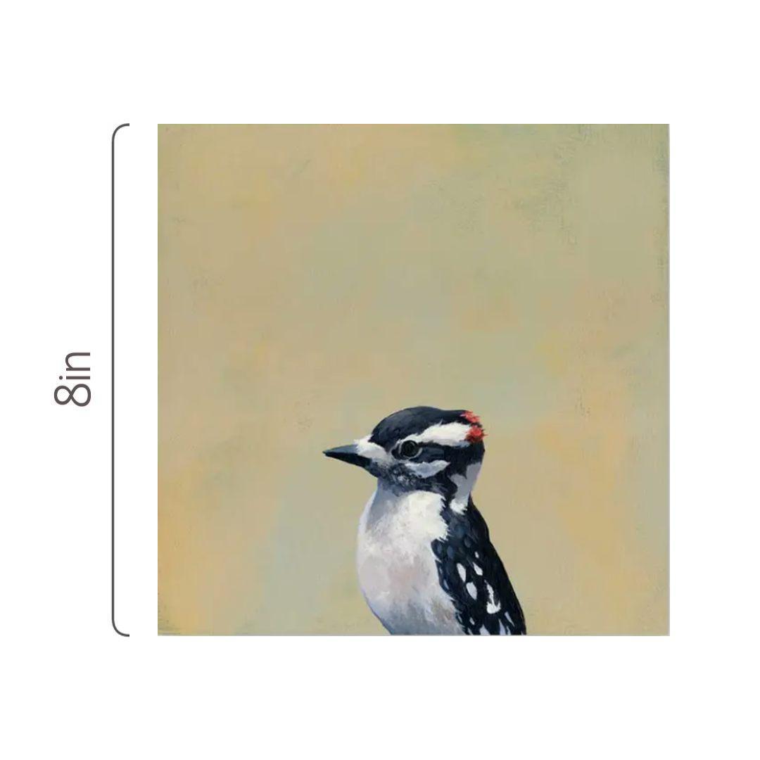 Wall Art - Downy Woodpecker on 8in x 8in Wood Panel by The Mincing Mockingbird