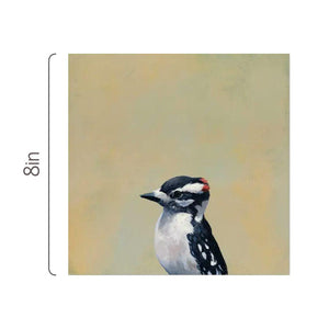 Wall Art - Downy Woodpecker on 8in x 8in Wood Panel by The Mincing Mockingbird