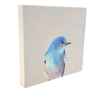 Wall Art - Mountain Bluebird on 6in x 6in Wood Panel by The Mincing Mockingbird