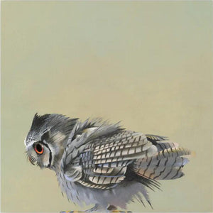 Wall Art - Scops Owl on 10in x 10in Wood Panel by The Mincing Mockingbird