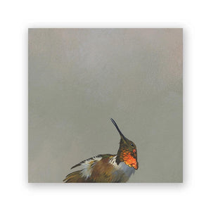 Wall Art - Allen's Hummingbird on 6in x 6in Wood Panel by The Mincing Mockingbird