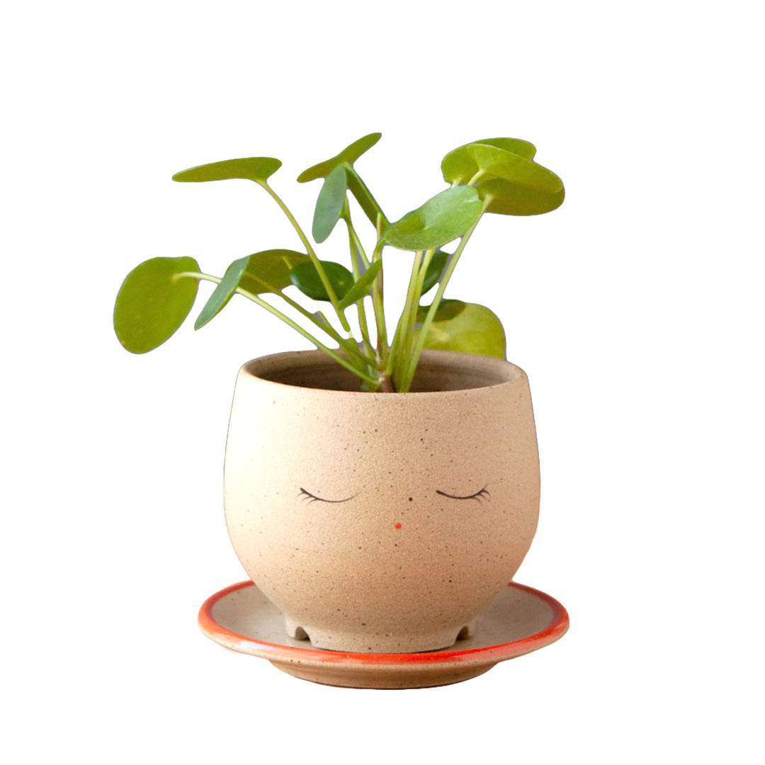 Planter - Peaceful Face (Blue or Red Saucer) by Jennifer Fujimoto