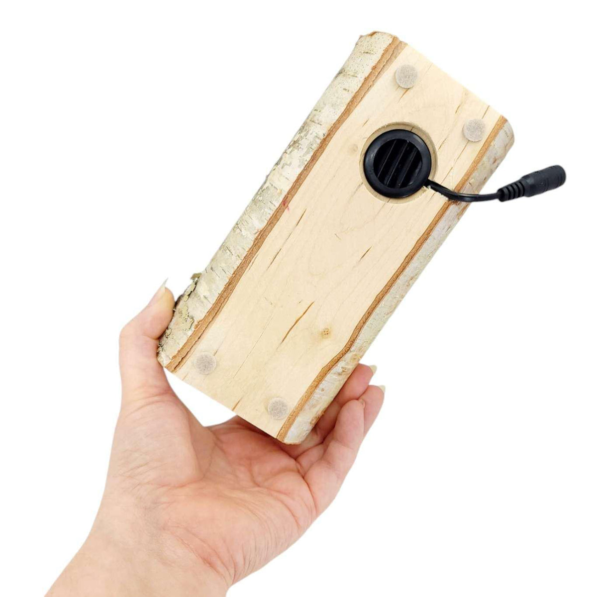 zLamp - Birch Log (Red Mushrooms) by Sage Studios