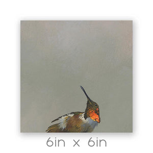 Wall Art - Allen's Hummingbird on 6in x 6in Wood Panel by The Mincing Mockingbird