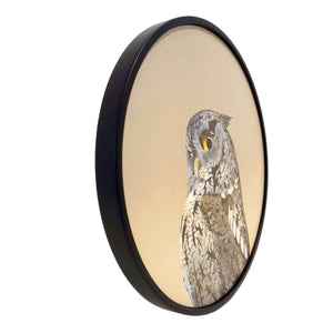 Wall Art - Screech Owl on 10in Round Framed Wood Panel by The Mincing Mockingbird