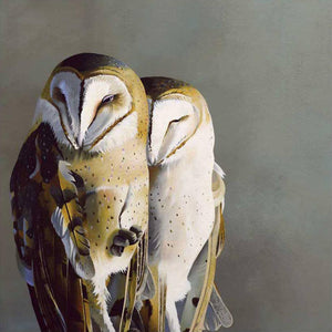 Wall Art - Barn Owl Pair on 10in x 10in Wood Panel by The Mincing Mockingbird