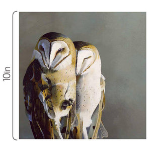 Wall Art - Barn Owl Pair on 10in x 10in Wood Panel by The Mincing Mockingbird