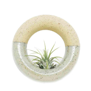 Planter – Small Sweet Roll in Mint (A or B) by Barro Studio