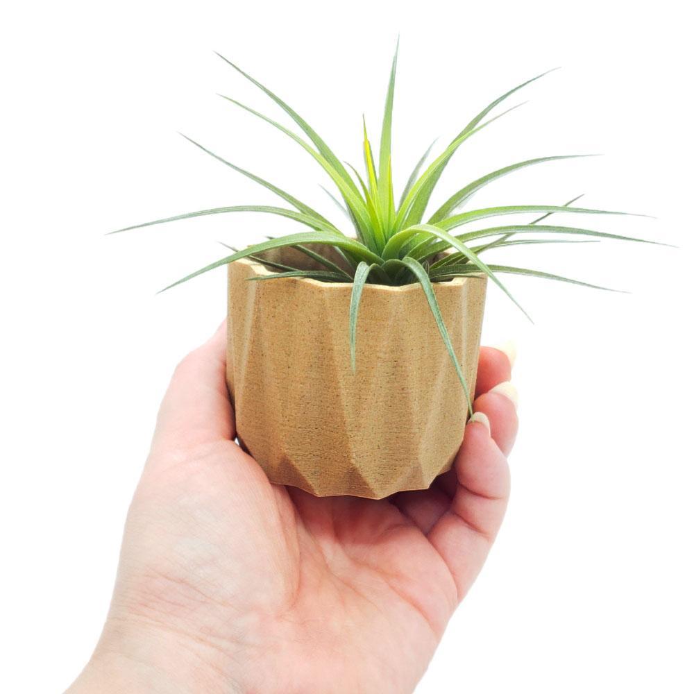 Planters - Mini Origami (Natural) by Minimum Design