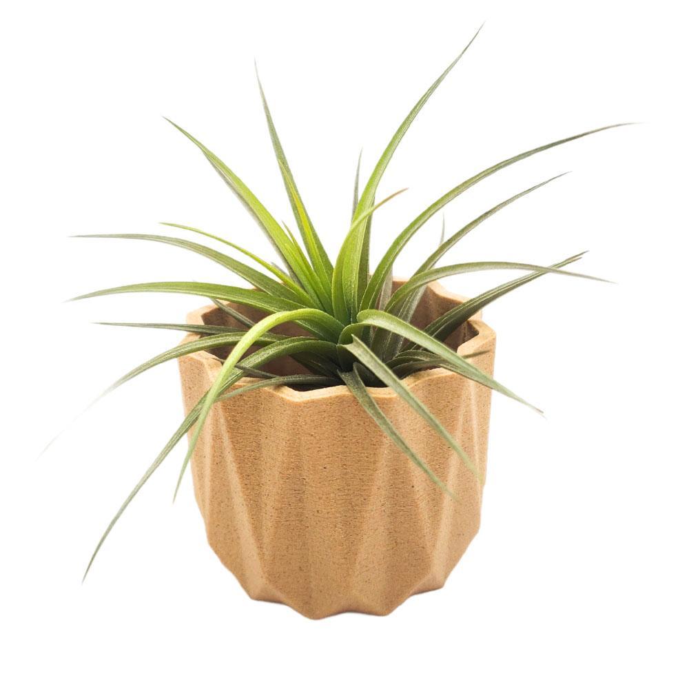 Planters - Mini Origami (Natural) by Minimum Design