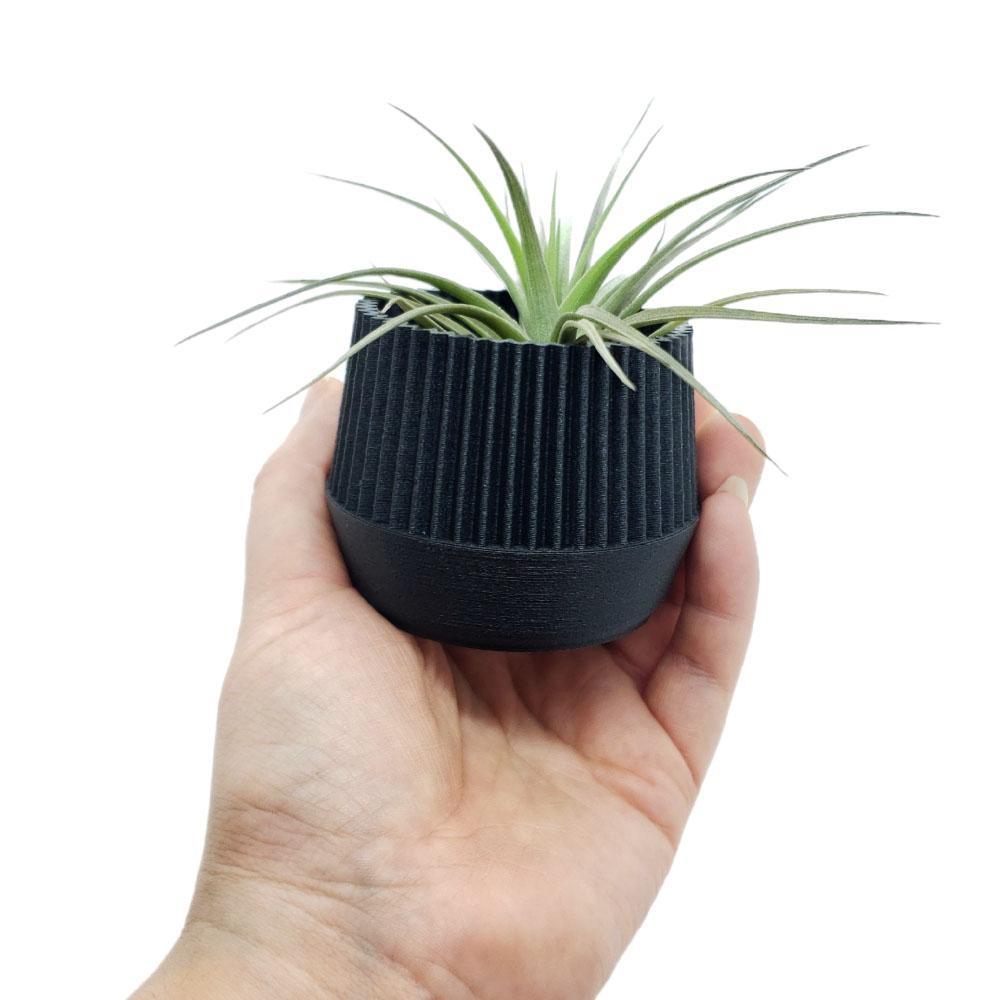 【kobe plants】 Planters - Mini Kobe (Black) by Minimum Design - Bezel & Kiln