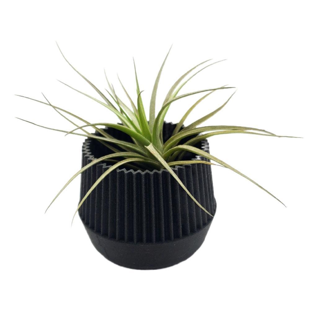【kobe plants】 Planters - Mini Kobe (Black) by Minimum Design - Bezel & Kiln